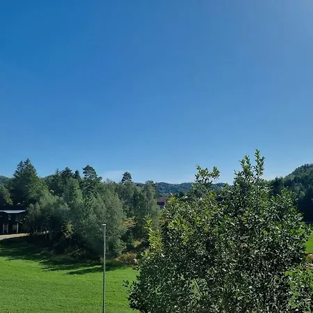 Enebolig Med Hybel I